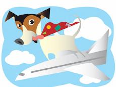 travelingdog
